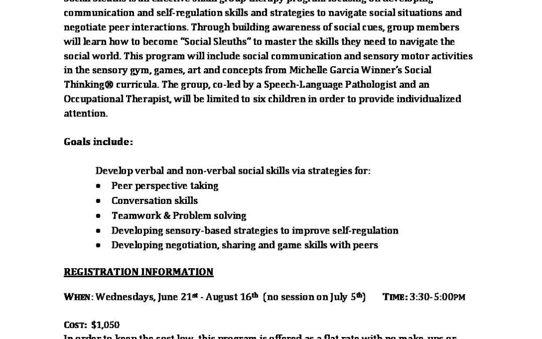 Social Sleuths Summer 2017