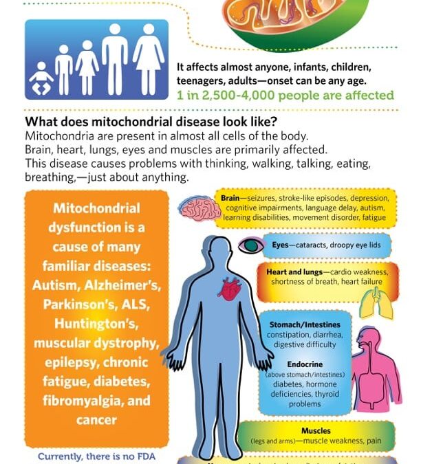 2017FMM-Mito-UMD Rare Disease info5