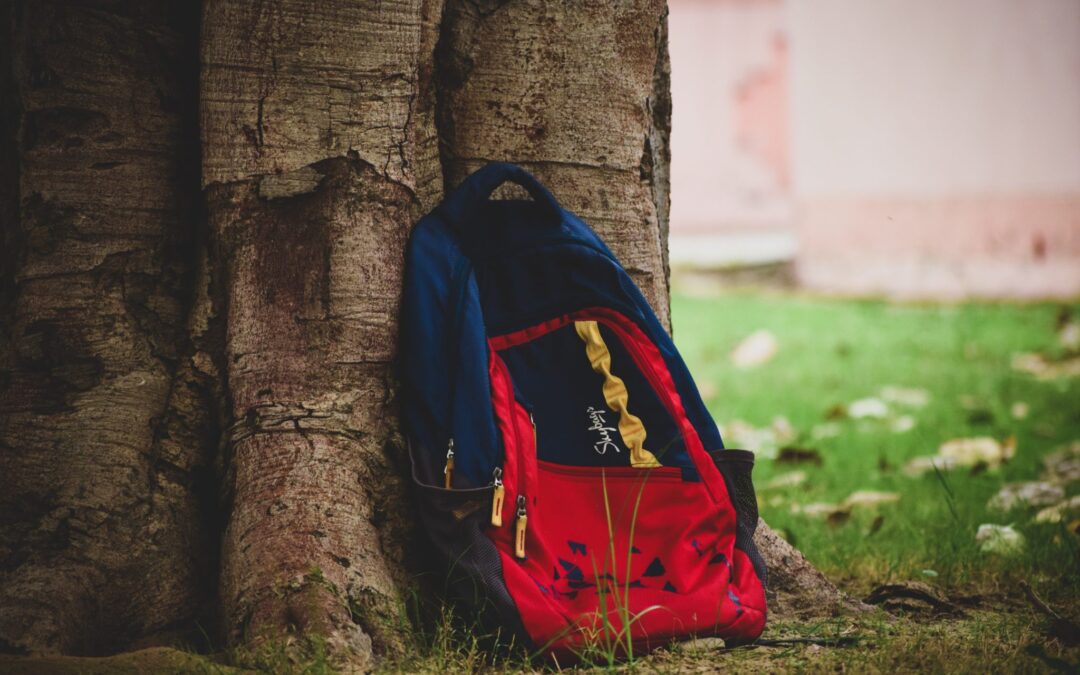 backpack-bag-blur-1262692