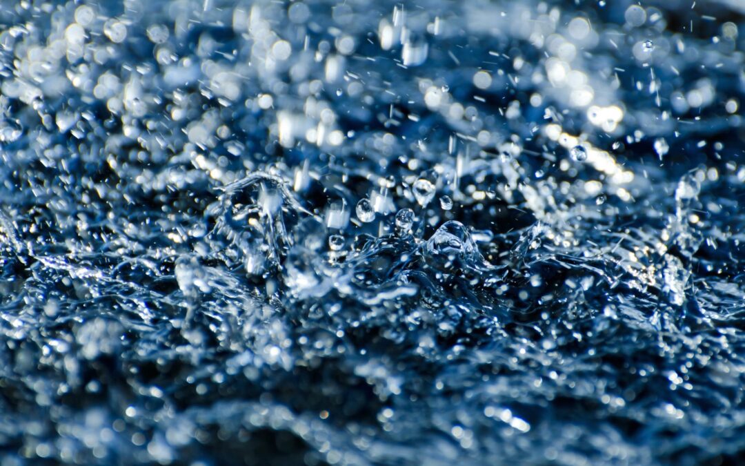 close-up-droplets-drops-59831