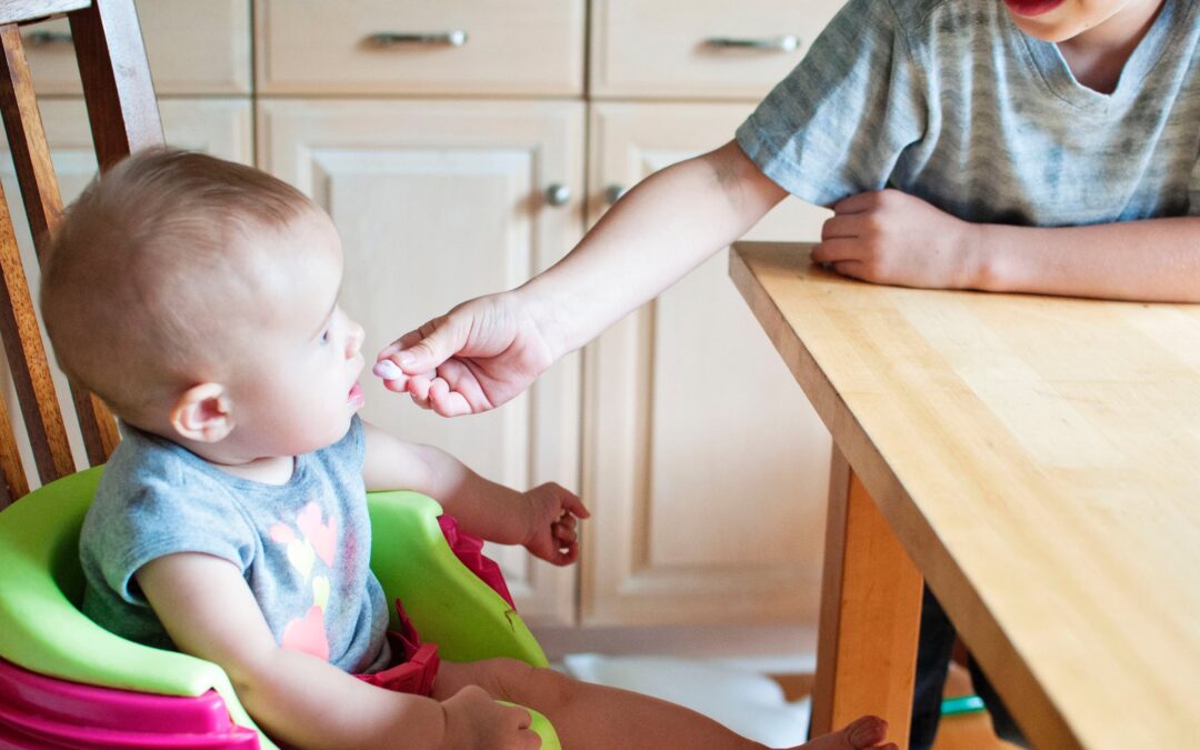 baby high chair