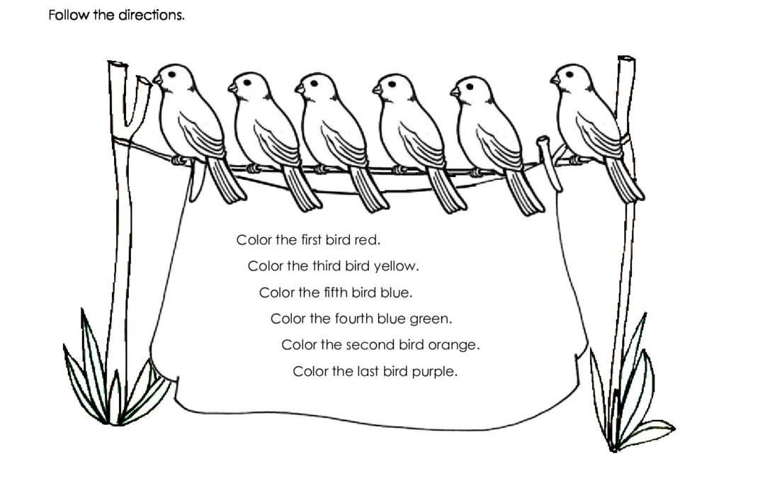 2SixBirds