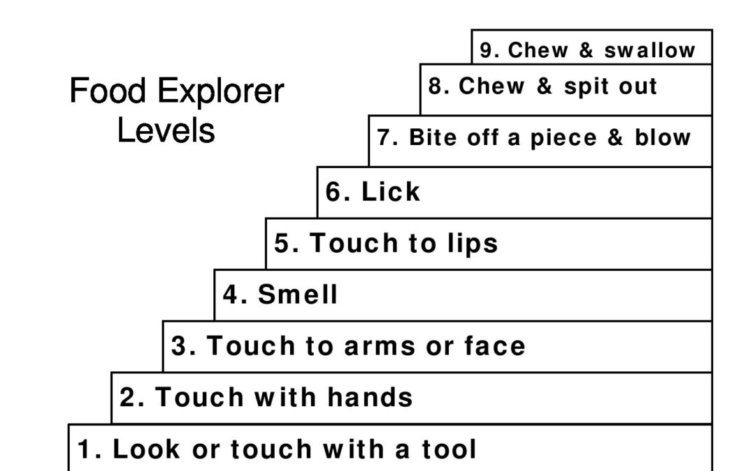 2-Food Science Child placemat