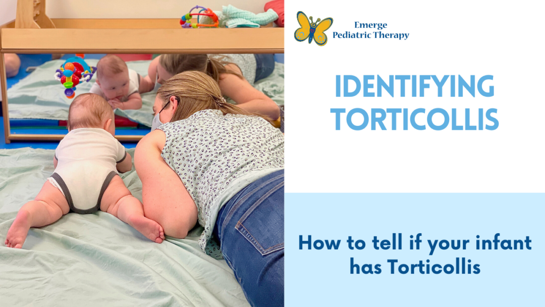 Identifying Torticollis