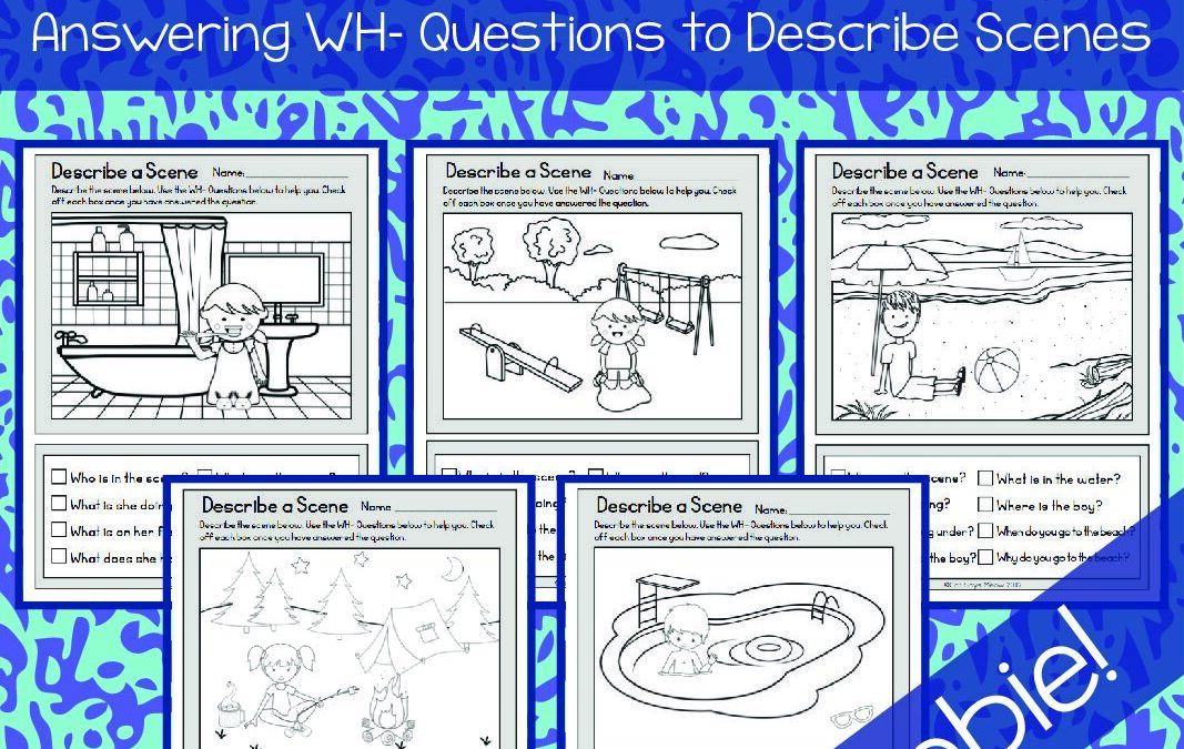 WH Questions-Describe A Scene